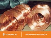 Проволока бронзовая 1 мм БРОЦСН3-8-4-1