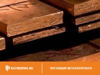 Полоса медная 50х4 мм ШМТ ГОСТ 434-78