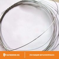 Проволока вольфрамовая 31,5 мкм ВМ