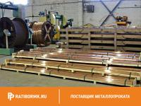 Шина медная 50х20 мм ШМТ ГОСТ 434-78