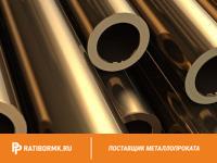 Труба бронзовая 53х12 мм БРОЦС555 ГОСТ 24301-93